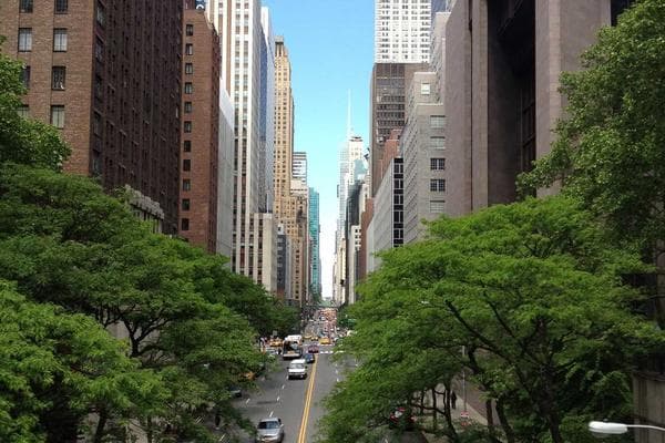 排水孔小飛蟲怎麼辦？3步驟根除，附防臭蓋推薦